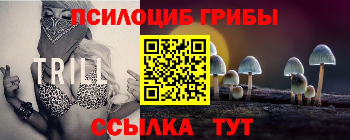 Галлюциногенные грибы мицелий Ишимбай